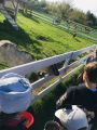 Wycieczka do gospodarstwa agroturystycznego Alpaki Cudaki – klasa 2B, foto nr 47, 